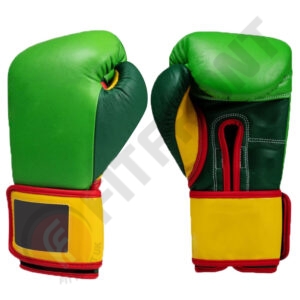 Professional Boxing Gloves